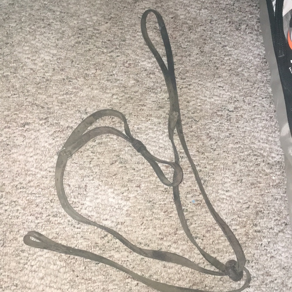 SOLD SOLD SOLD Standing Martingale (Needs TLC)